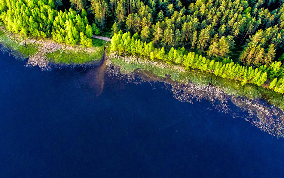 ESG Consulting Final