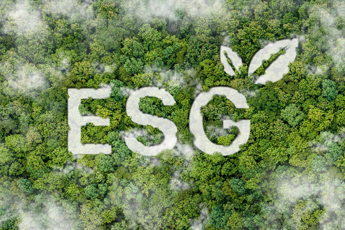 Esg Webinarreihe
