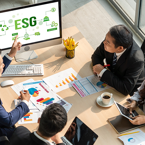 ESG Consulting